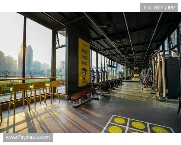 华赛体育在打造全民健身新格局中的战略布局与未来发展方向